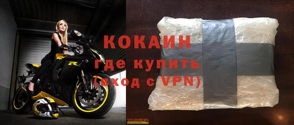стаф Новодвинск