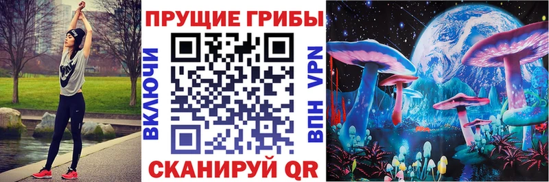 Галлюциногенные грибы Psilocybine cubensis  где можно купить   Сосенский 